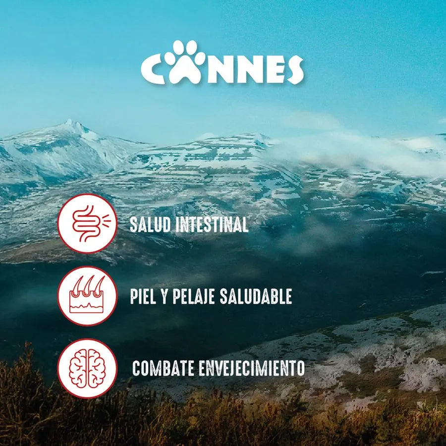 Cannes Adulto Carne Y Cereales 18 Kg