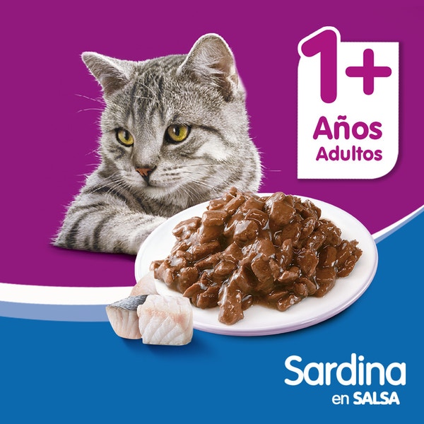 Sobre Alimento Húmedo Gato Adulto Variedad Sabores Whiskas 85 gr