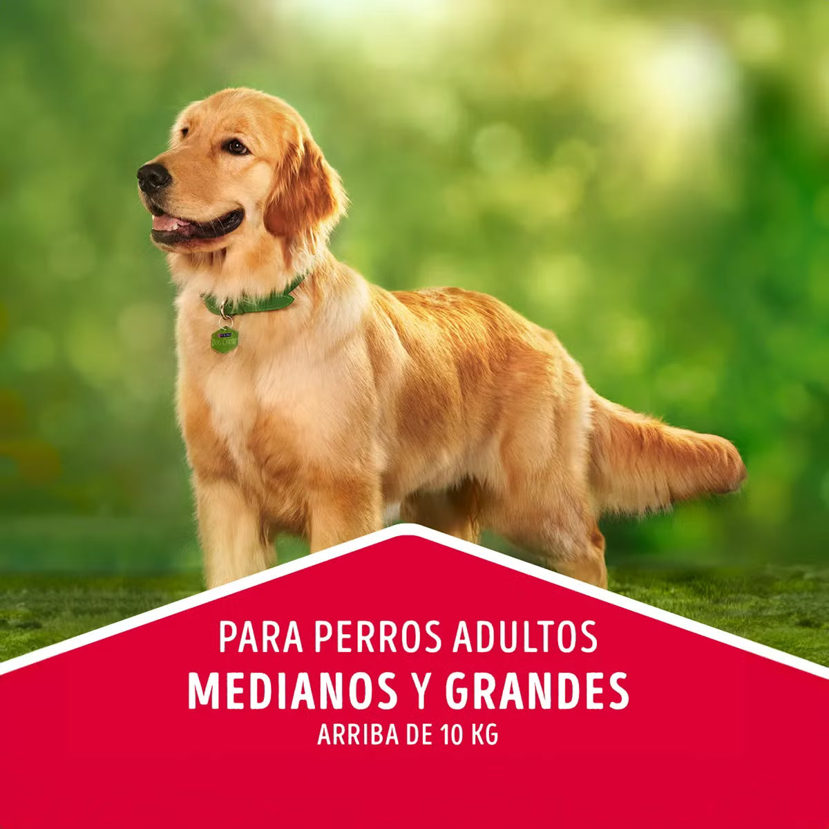 Dog Chow Adultos Medianos Y Grandes 16.5 Kg