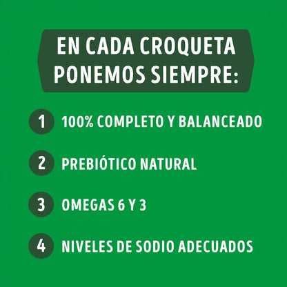Dog Chow Adultos Medianos Y Grandes 16.5 Kg