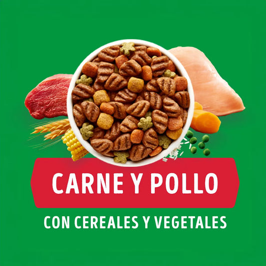 Dog Chow Adultos Medianos Y Grandes 16.5 Kg