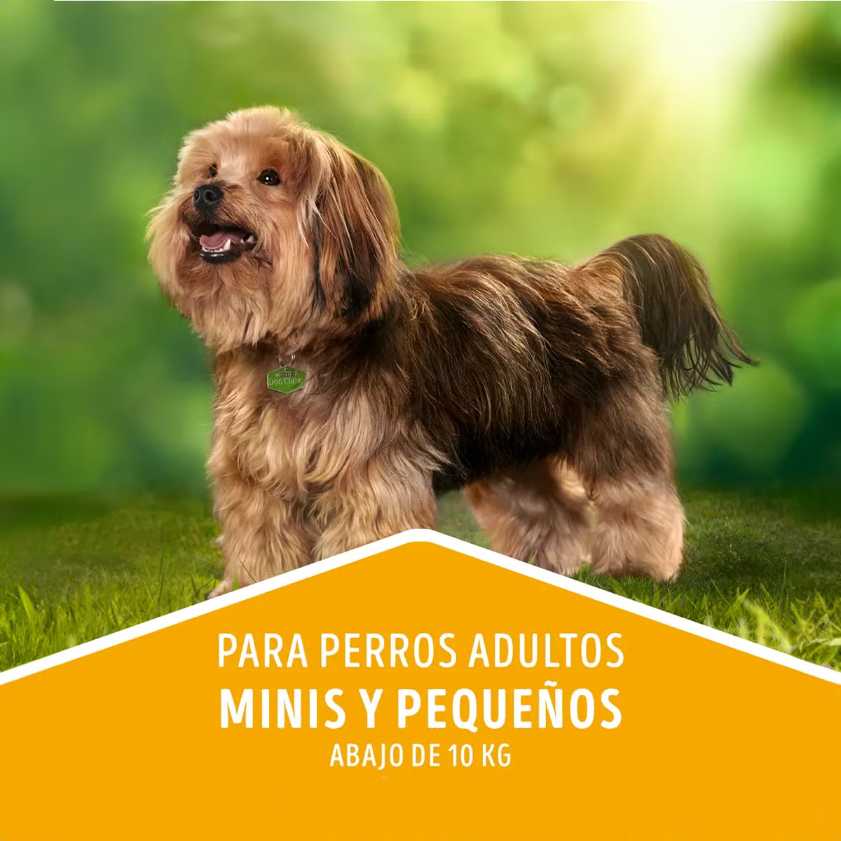 Dog Chow Adultos Minis Y Pequeños Carne y Pollo 16.5Kg