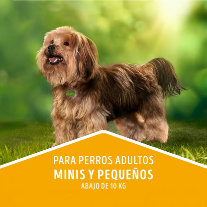 Dog Chow Adultos Minis Y Pequeños Carne y Pollo 16.5Kg