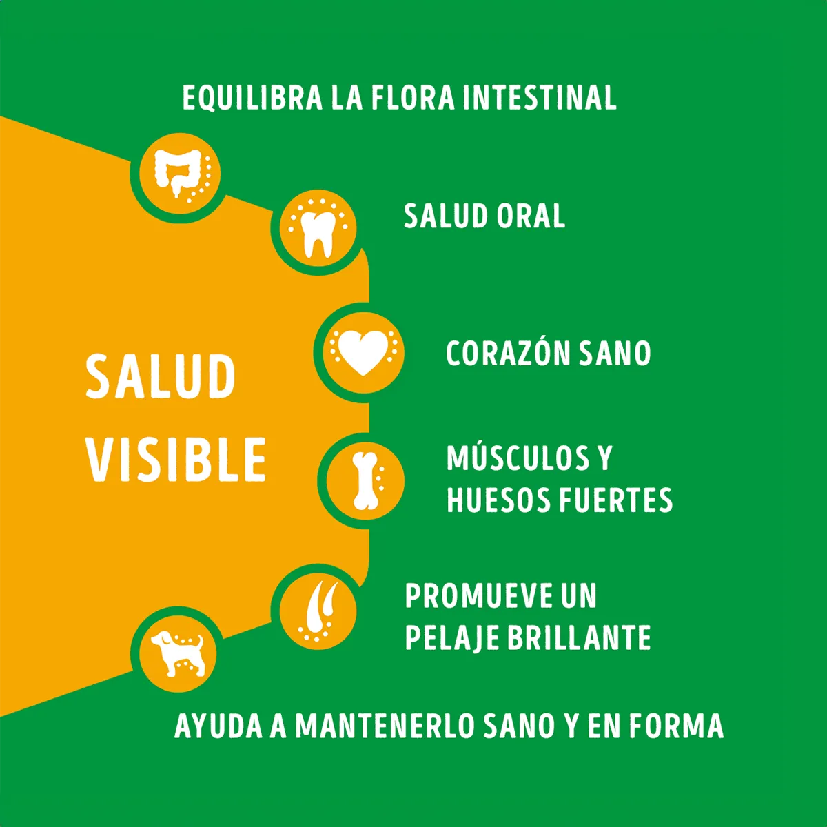 Dog Chow Adultos Minis Y Pequeños Carne y Pollo 16.5Kg