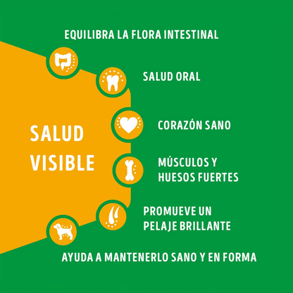 Dog Chow Adultos Minis Y Pequeños Carne y Pollo 16.5Kg