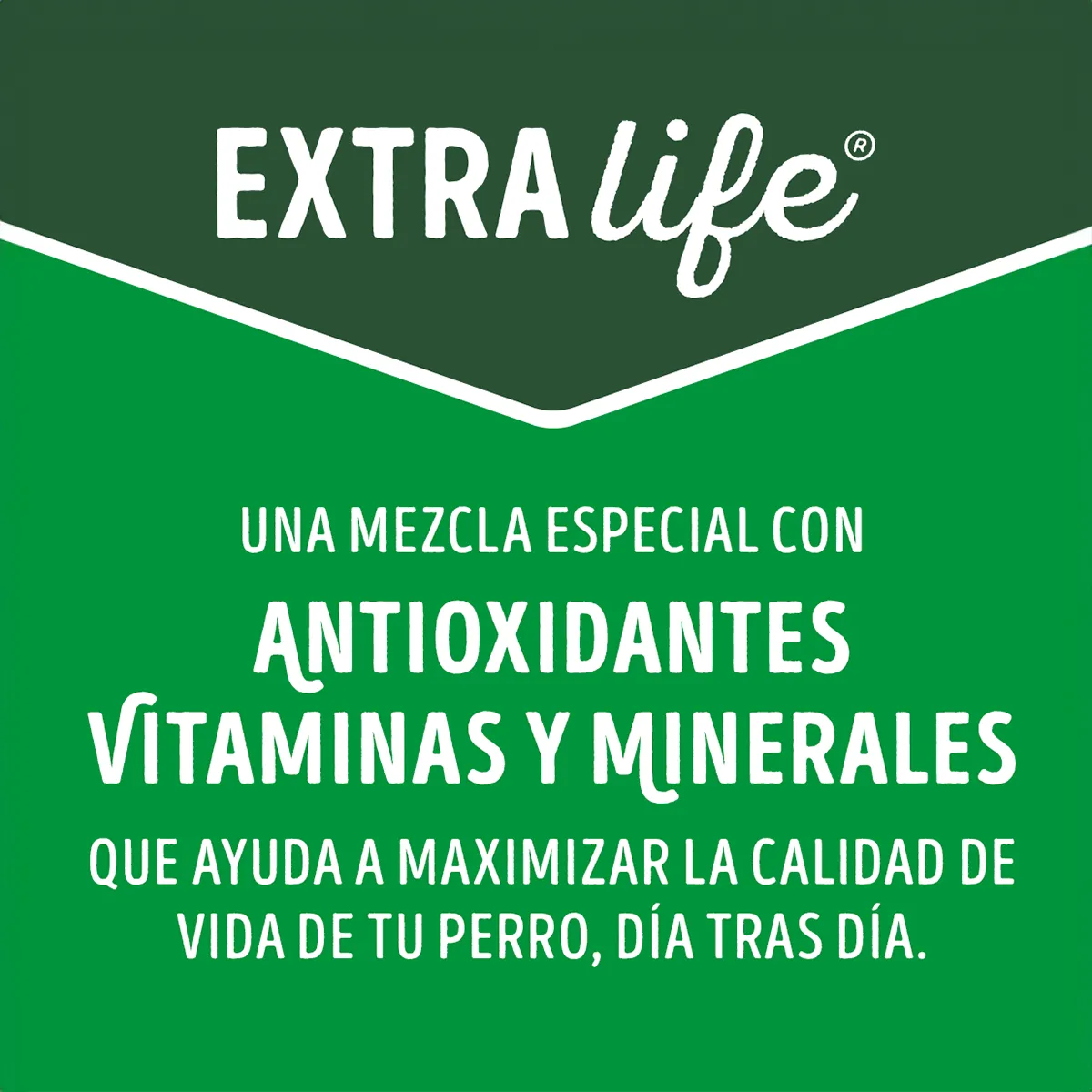 Dog Chow Adultos Minis Y Pequeños Carne y Pollo 16.5Kg