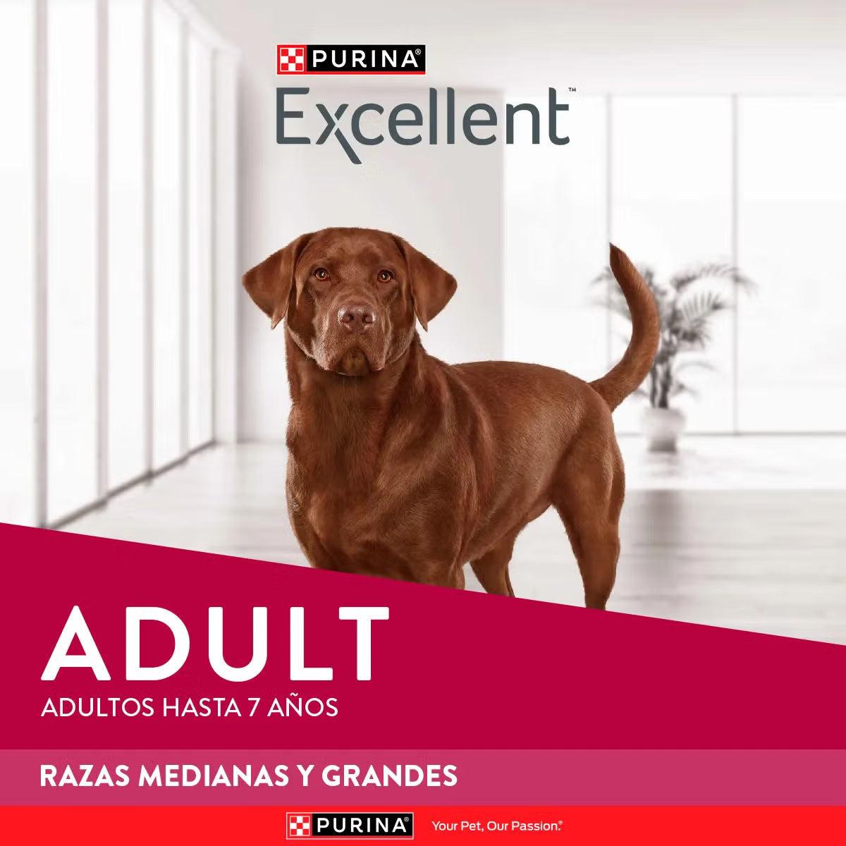 Purina Excellent Adulto Razas Medianas y Grandes 12 kg