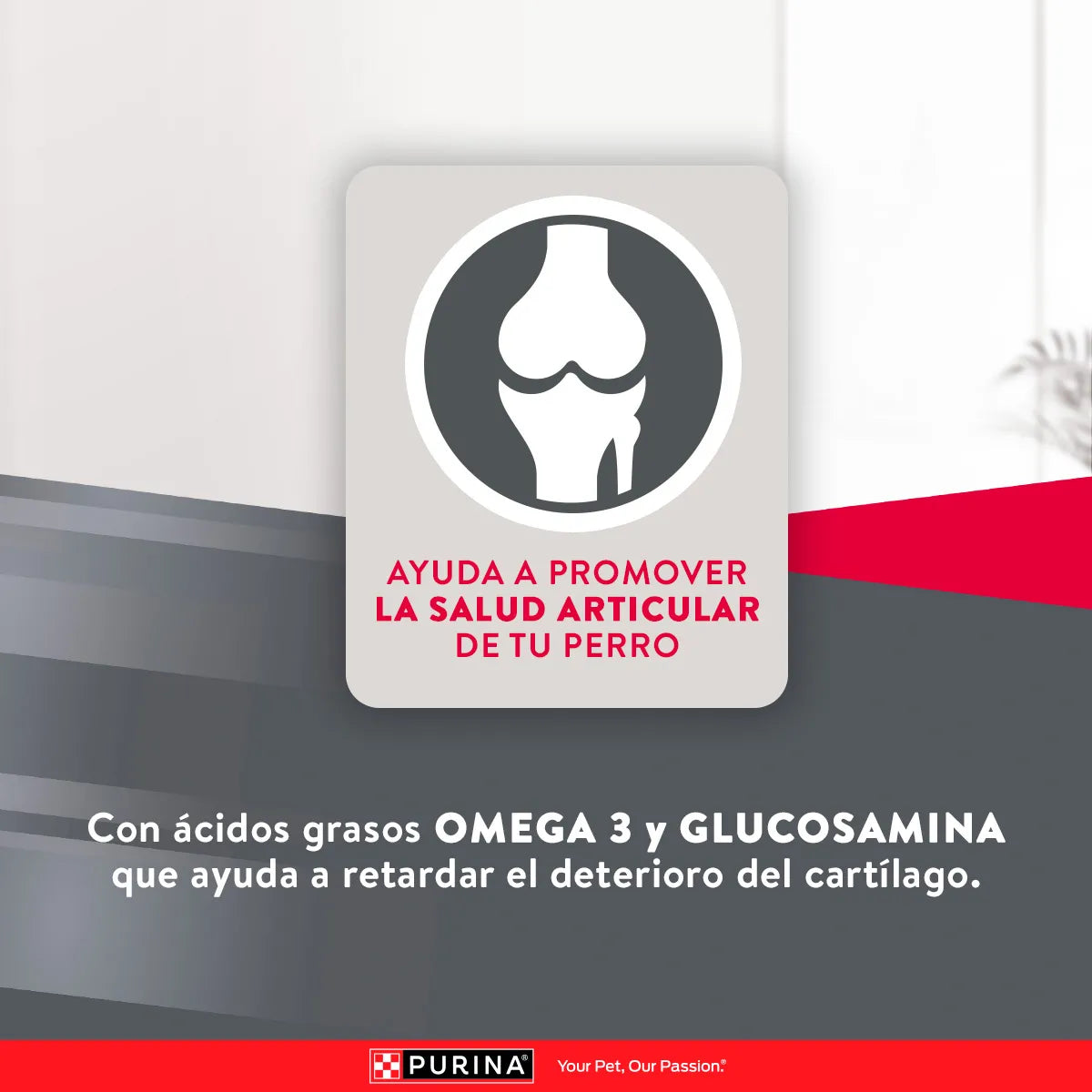 Purina Excellent Adulto Razas Medianas y Grandes 12 kg