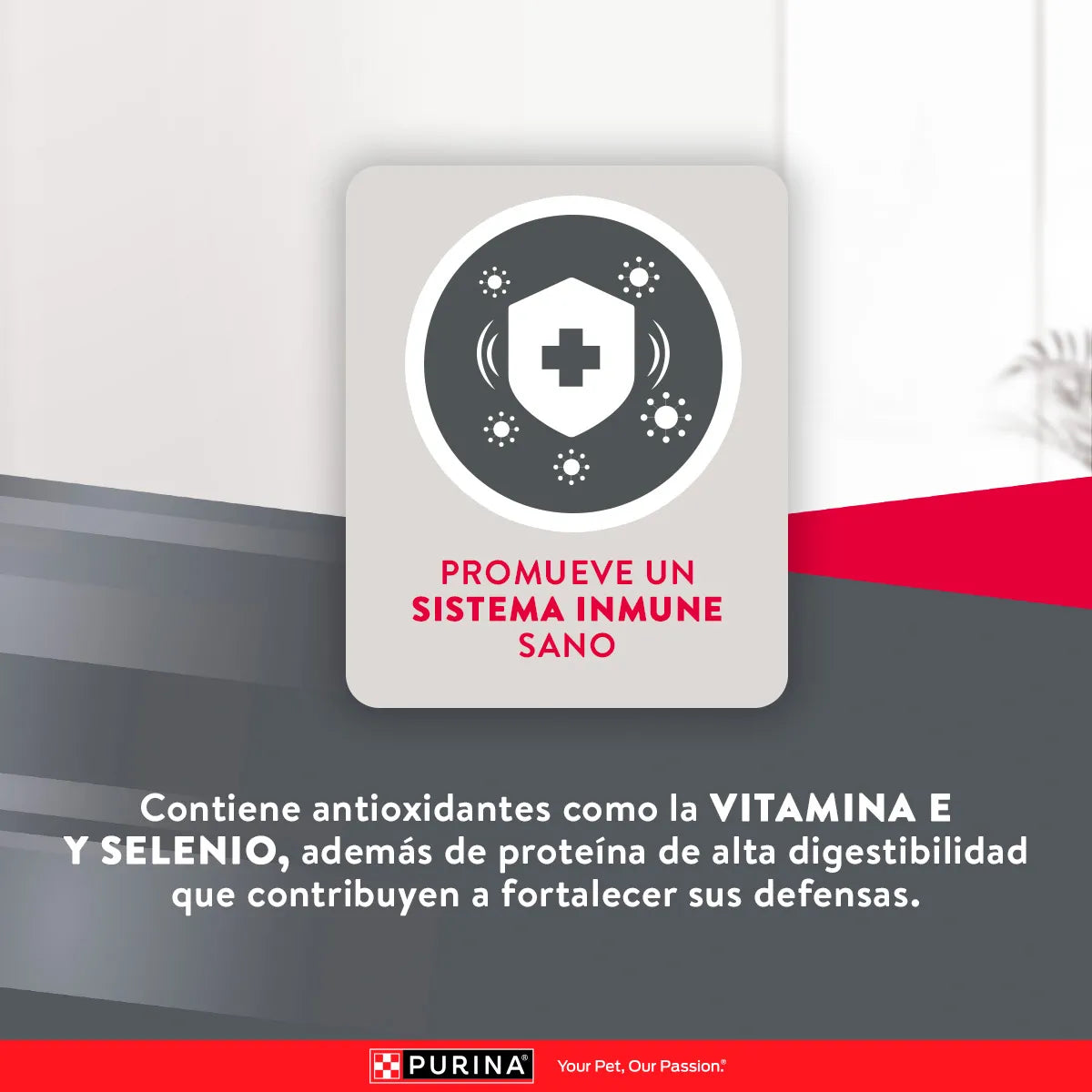 Purina Excellent Adulto Razas Medianas y Grandes 12 kg