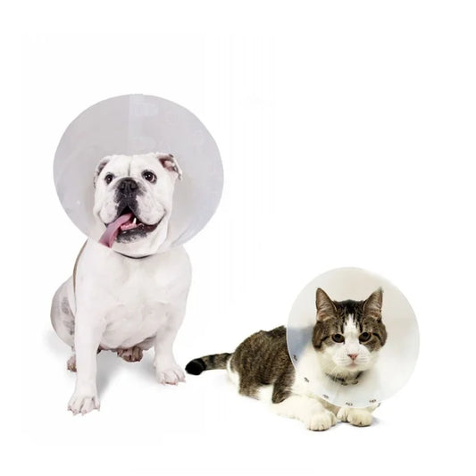 Collar Isabelino Transparente