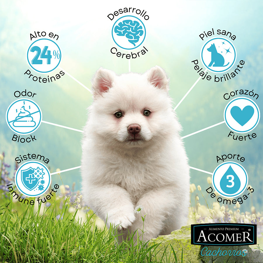 Acomer Cachorro 10 kg