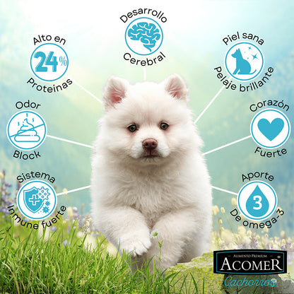 Acomer Cachorro 10 kg