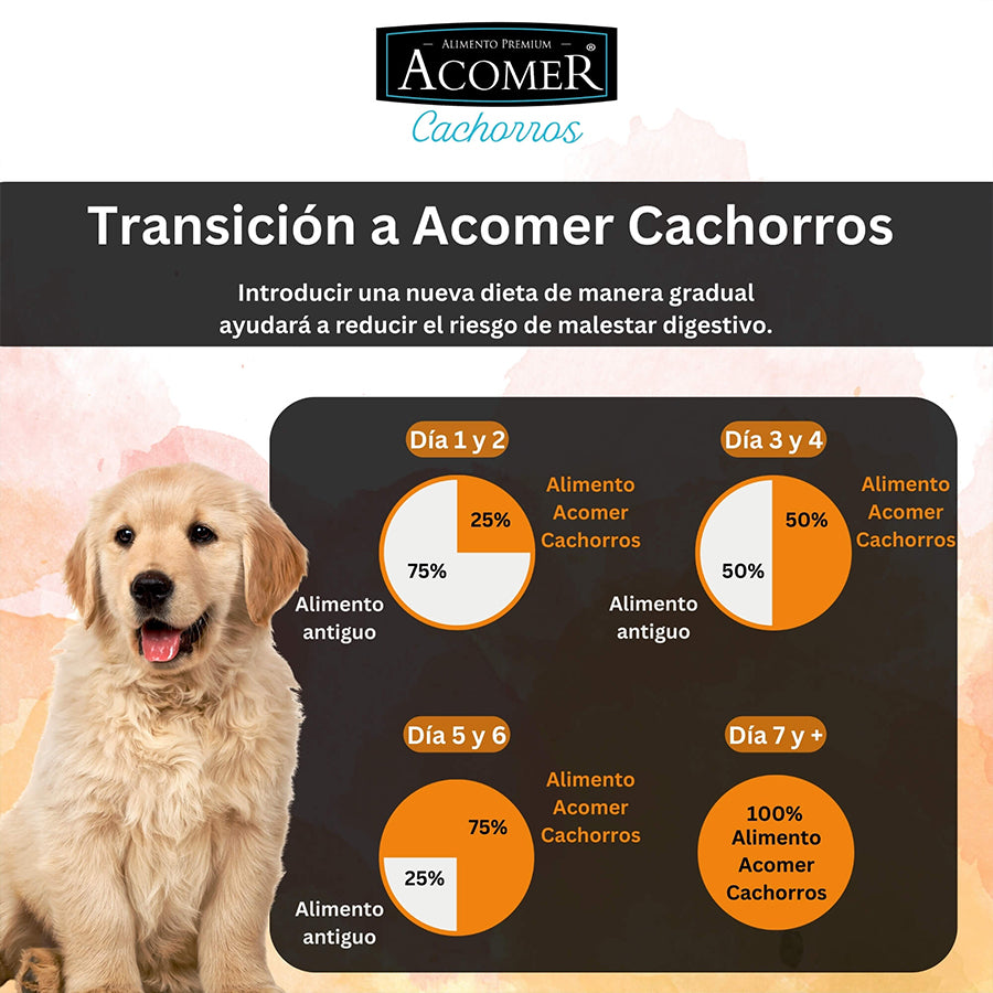 Acomer Cachorro 10 kg