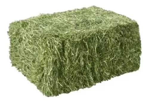 Fardo de Heno de Alfalfa 30kg