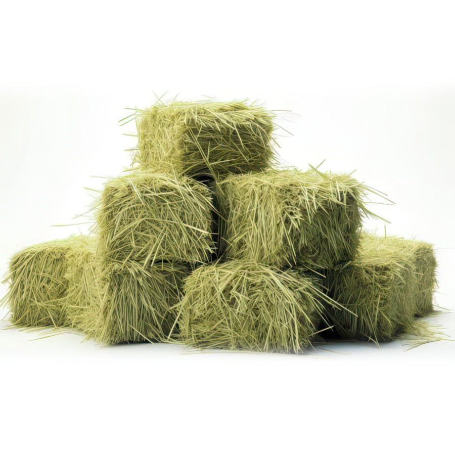 Fardo de Heno de Ballica 20kg