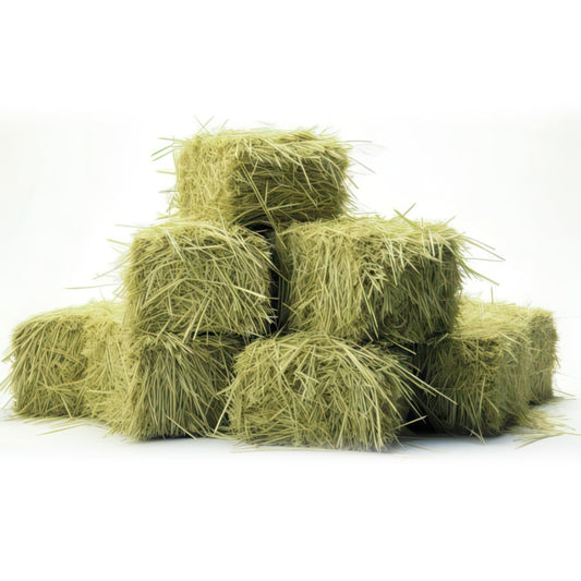 Fardo de Heno de Ballica 20kg