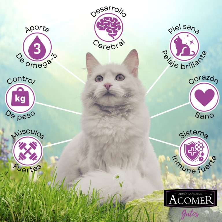Acomer Gatos 10 kg