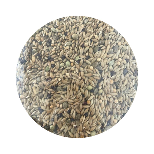 Mezcla de semillas para canarios 500 grs