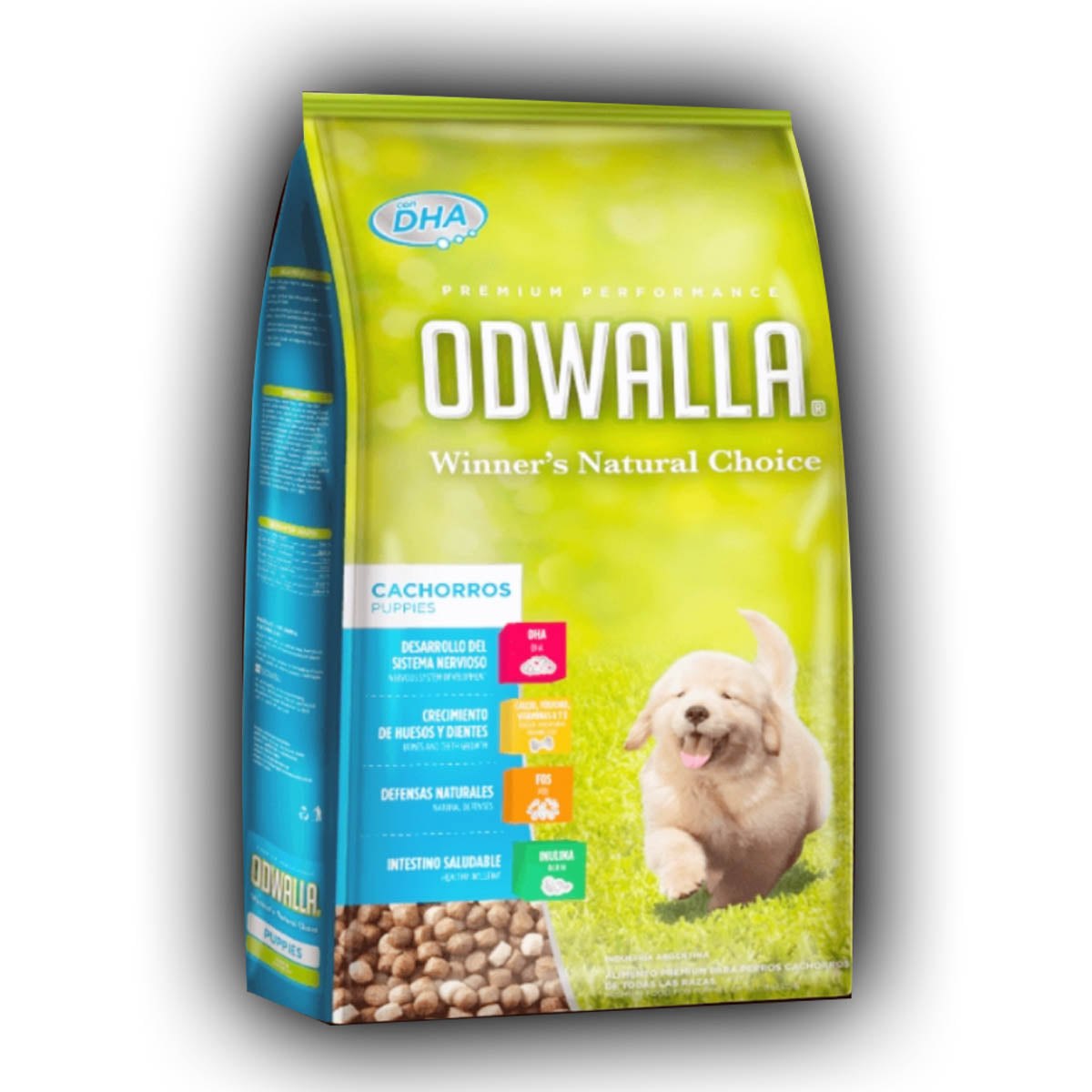 Odwalla Cachorro