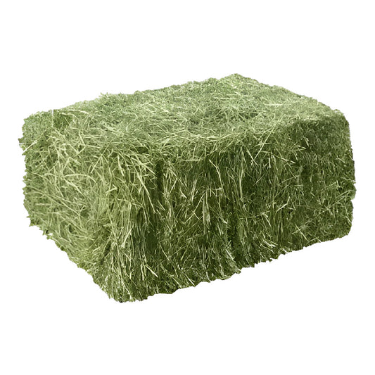 Fardo de Heno de Alfalfa 30kg