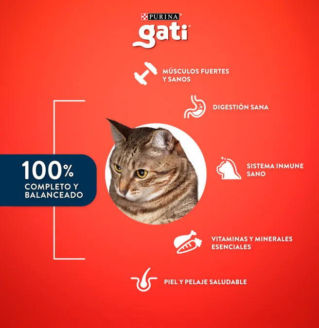 Gati Mix Carnes, verduritas, leche y otras proteínas Gatitos