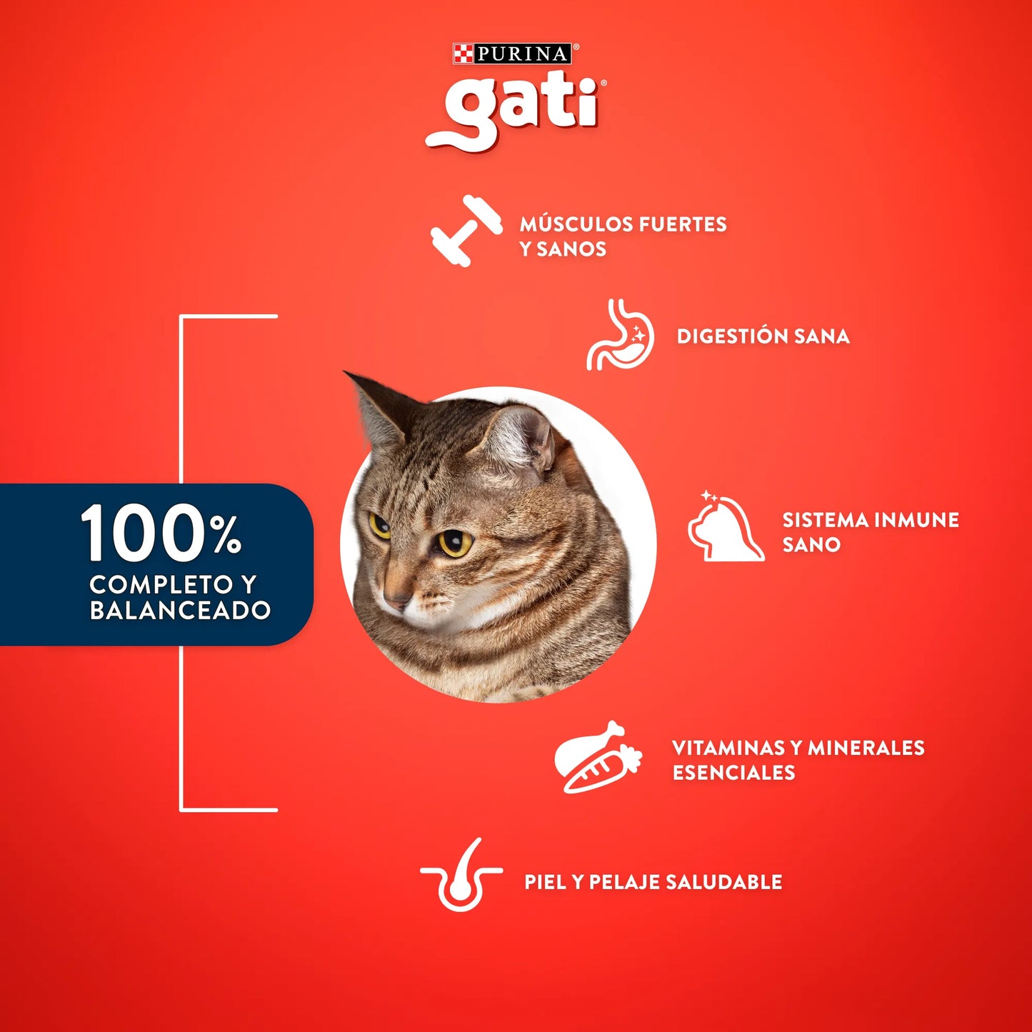Gati Pescado y Salmón a la Primavera Gatos Adultos