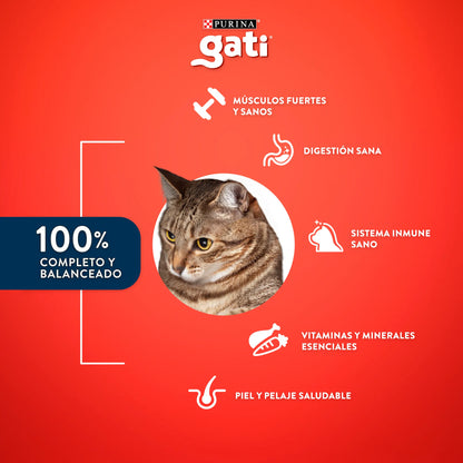 Gati Pescado y Salmón a la Primavera Gatos Adultos
