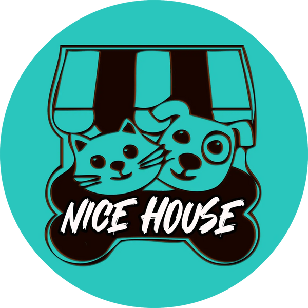 Nice House 
