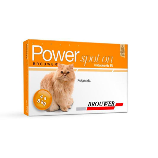 Power Ultra Gatos de 4 Kg a 8Kg